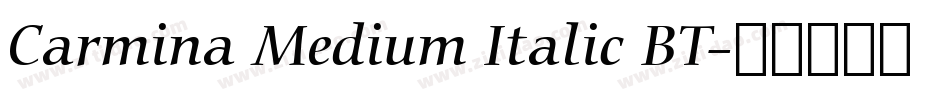 Carmina Medium Italic BT字体转换